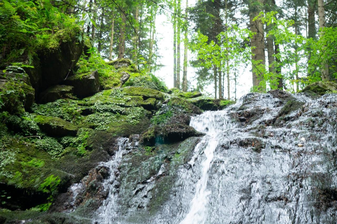 U Dvori Hotel Podgorodtsy Luaran gambar